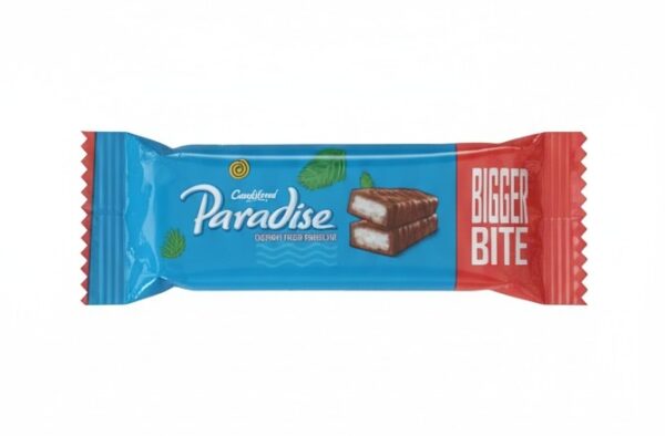 Candyland Paradise Coconut Filled Chocolate – Creamy Coconut Center with Rich Chocolate